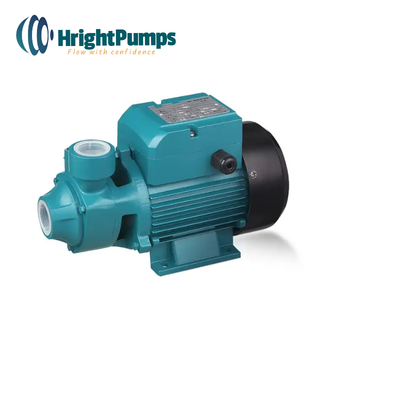  Peripheral Vortex Water Pump  Best price home use QB60 QB70 QB80 