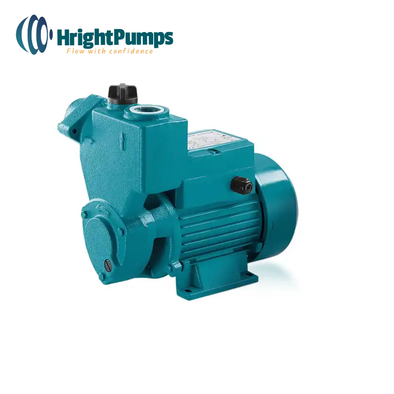 Self-priming Peripheral Vortex Water Pump Best price houseold use KS60 KS70 KS80