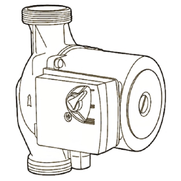 Circulating Pumps 